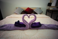 Lim3_RoomAirFur0012